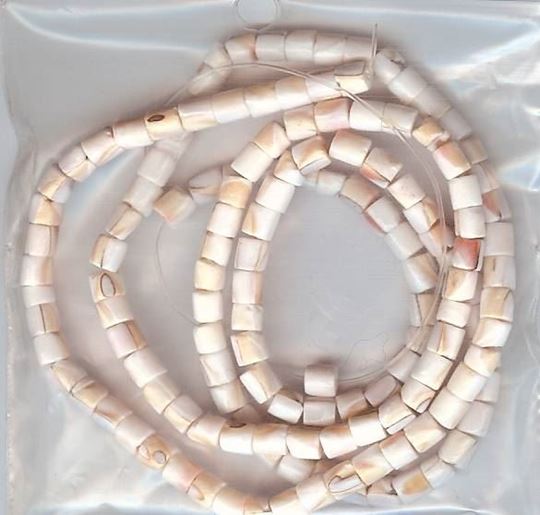 Shell Beads