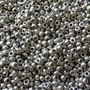 Czech Glass Seed Beads