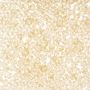 T-877 Champagne