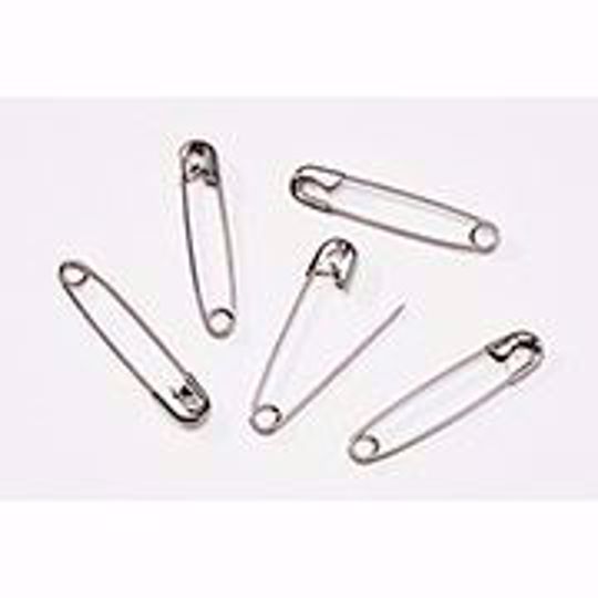 Silver Safety Pins